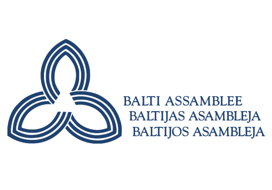 Baltic Assembly flag